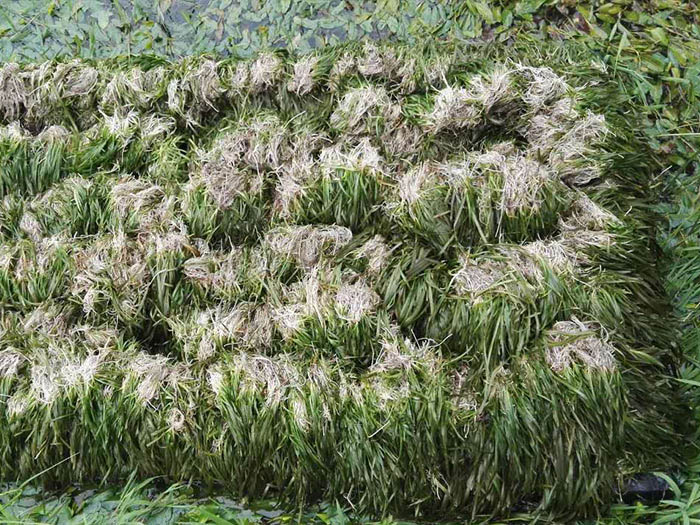 重庆酉阳大桃花源景观规划